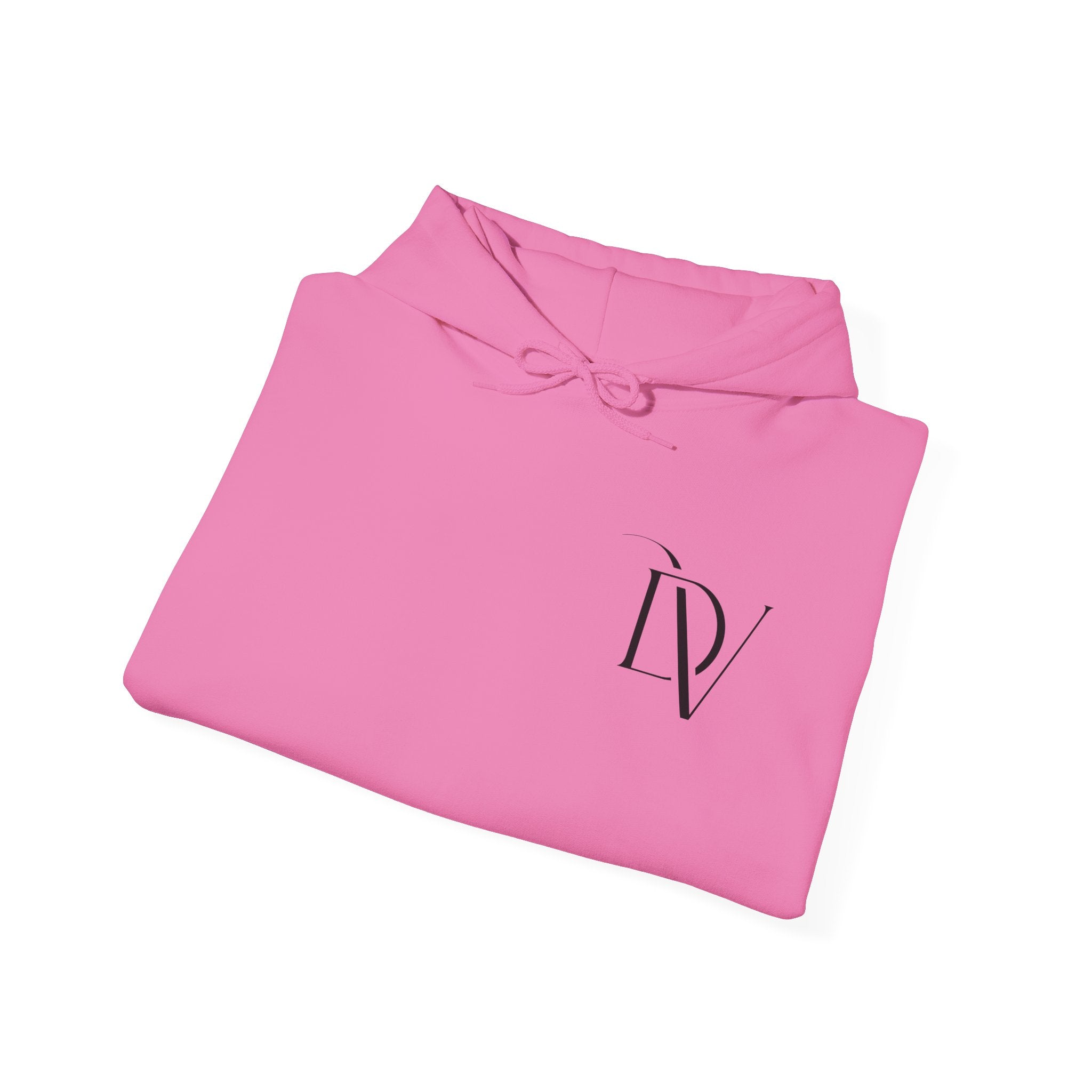 Dam Vlogs Front Logo Hoodie (Non-Embroidered)