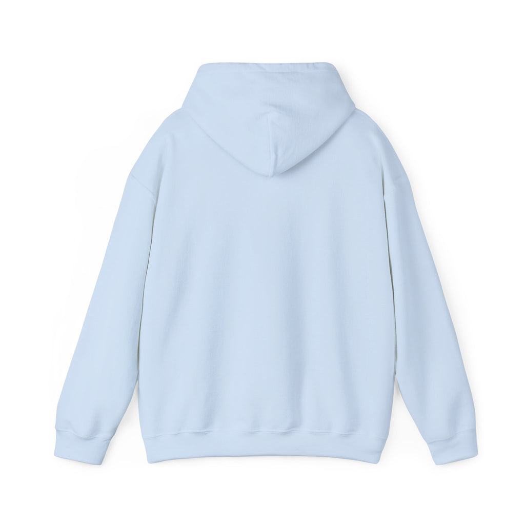 Dam Vlogs Front Logo Hoodie (Non-Embroidered)