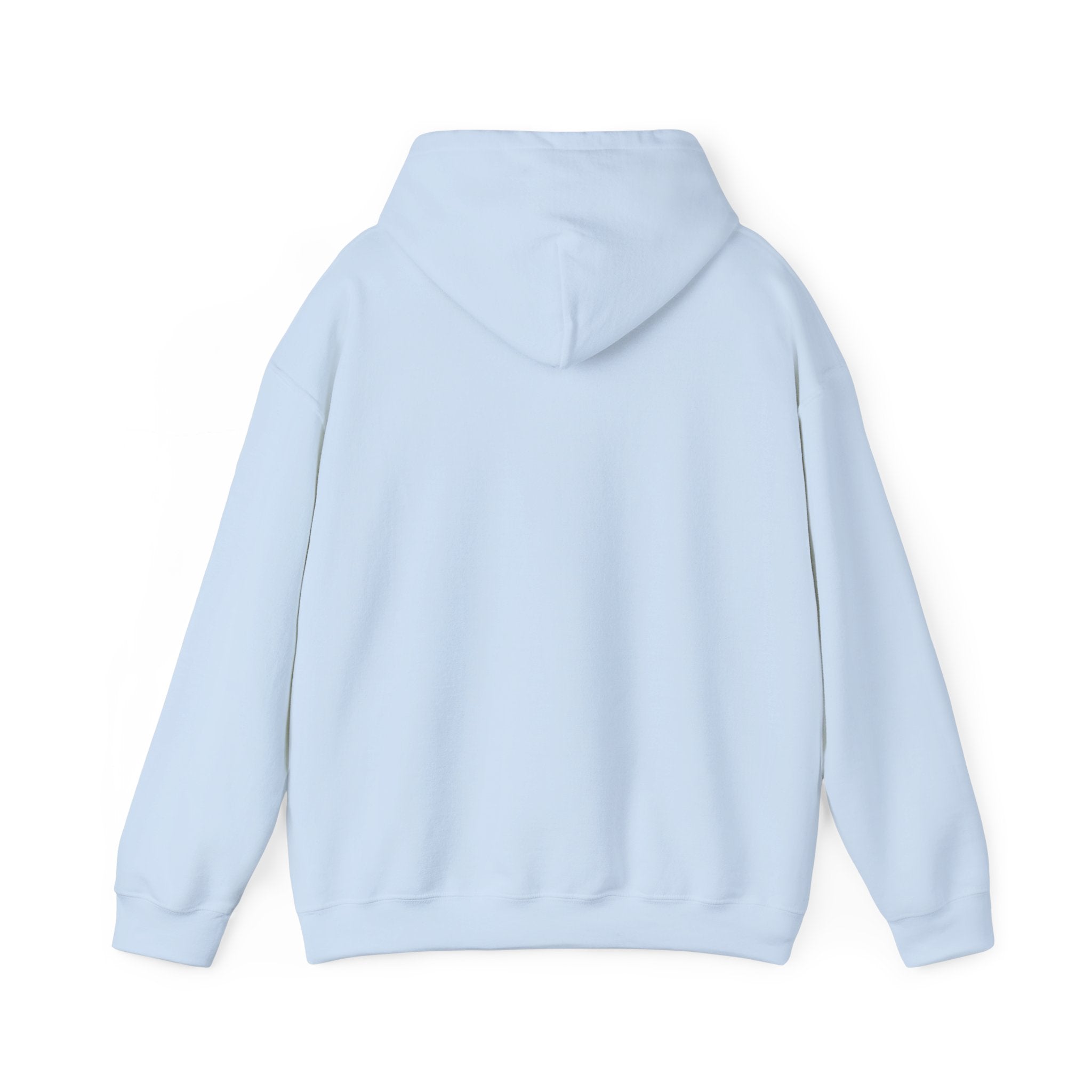 Dam Vlogs Front Logo Hoodie (Non-Embroidered)