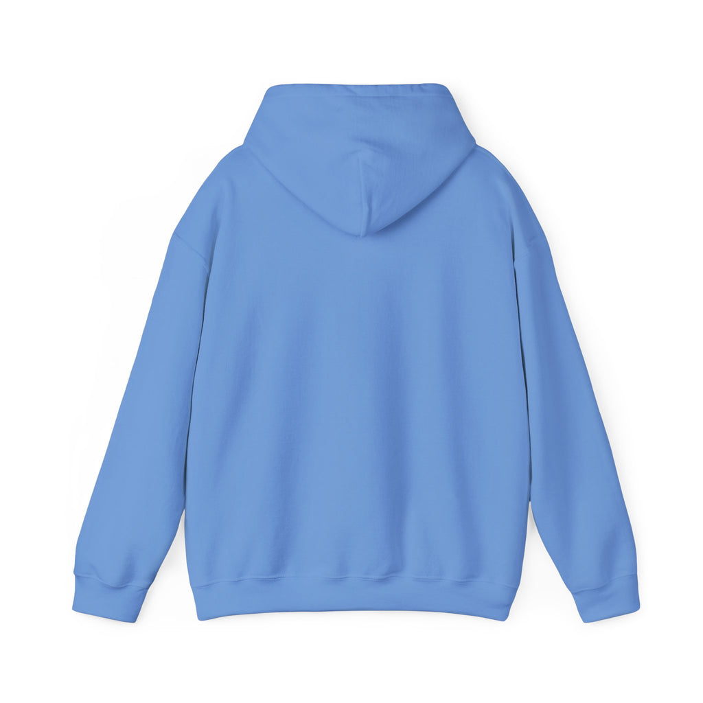 Dam Vlogs Front Logo Hoodie (Non-Embroidered)