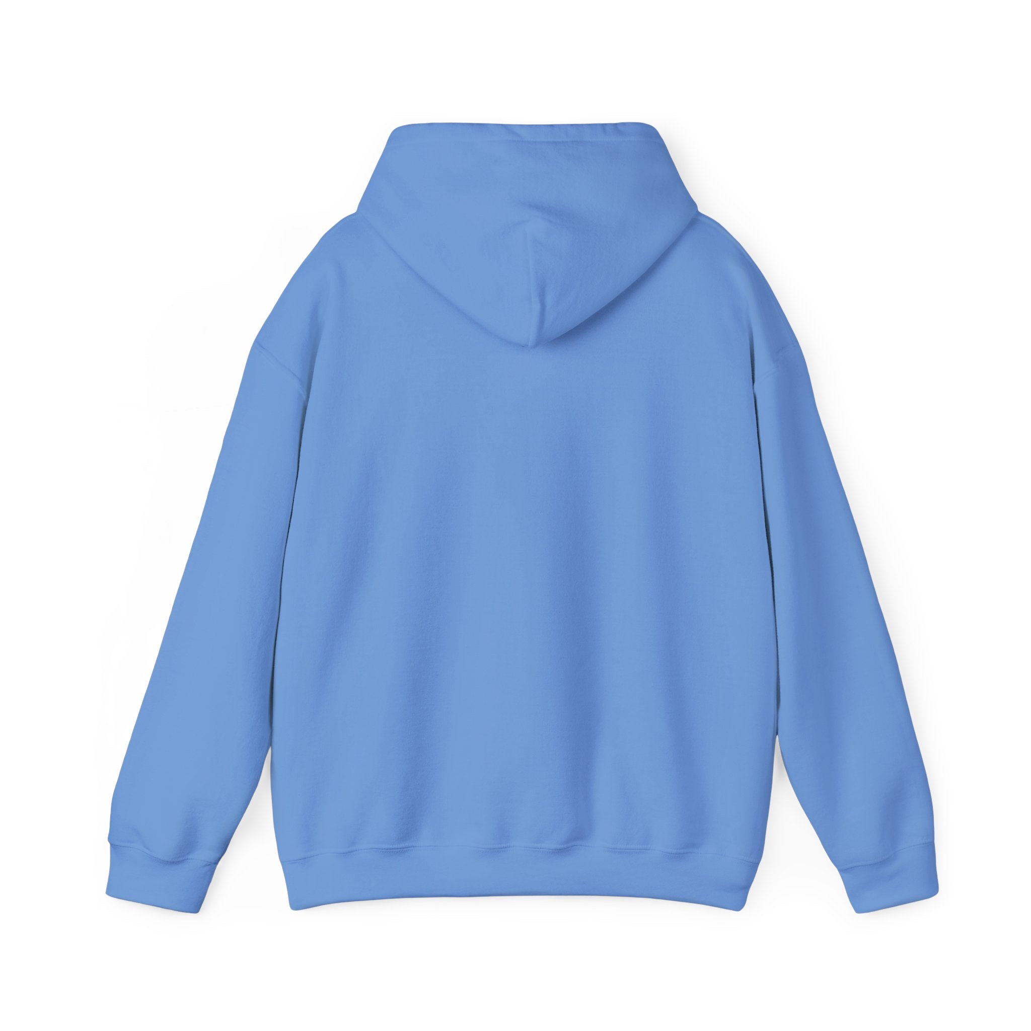 Dam Vlogs Front Logo Hoodie (Non-Embroidered)