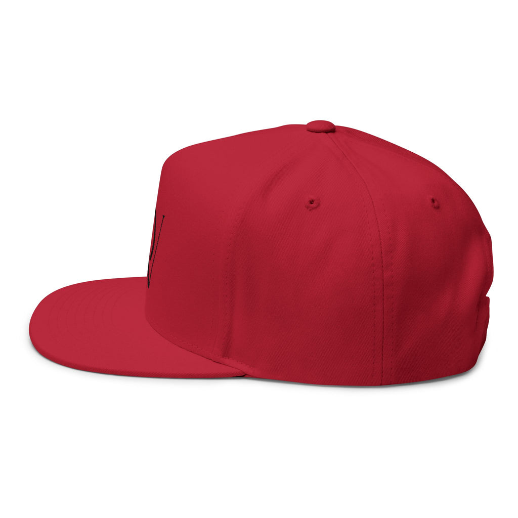 Dam Vlogs Embroider Cap (Black Logo)