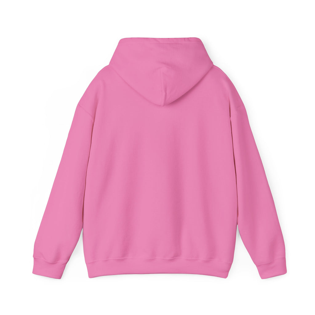 Dam Vlogs Front Logo Hoodie (Non-Embroidered)