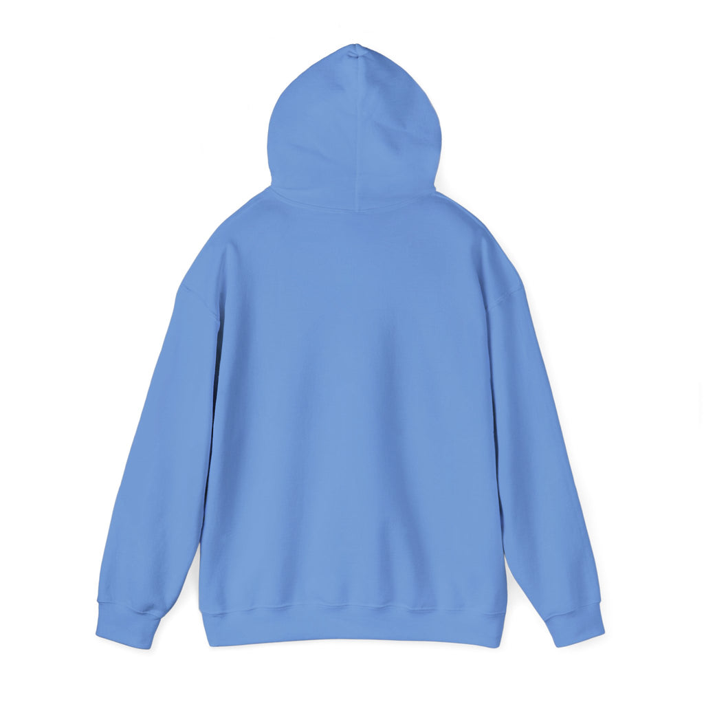 Dam Vlogs Front Logo Hoodie (Non-Embroidered)