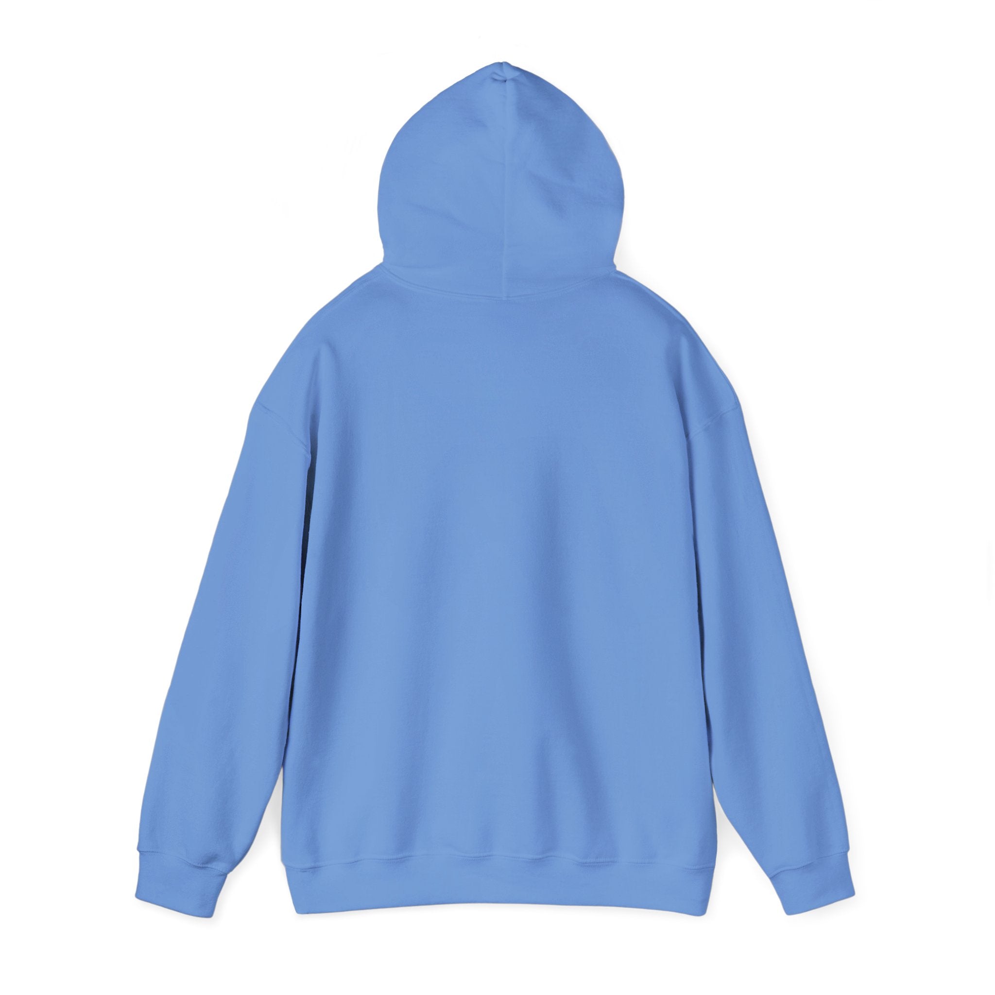 Dam Vlogs Front Logo Hoodie (Non-Embroidered)