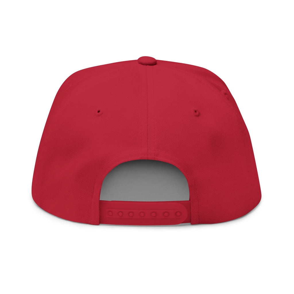 Dam Vlogs Embroider Cap (Black Logo)
