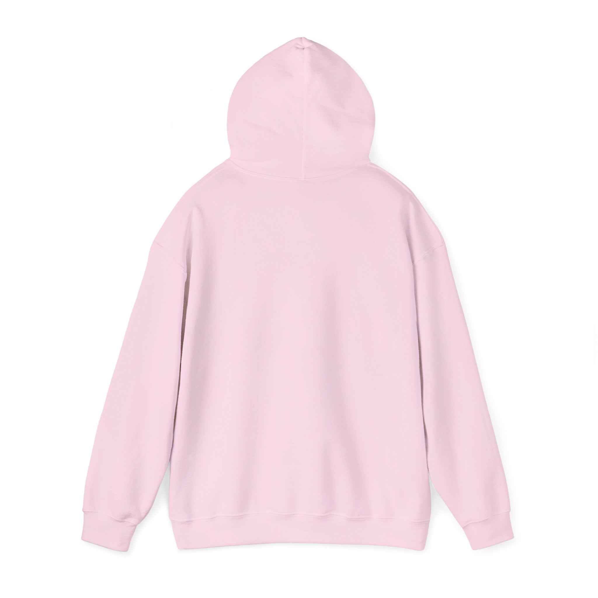 Dam Vlogs Front Logo Hoodie (Non-Embroidered)