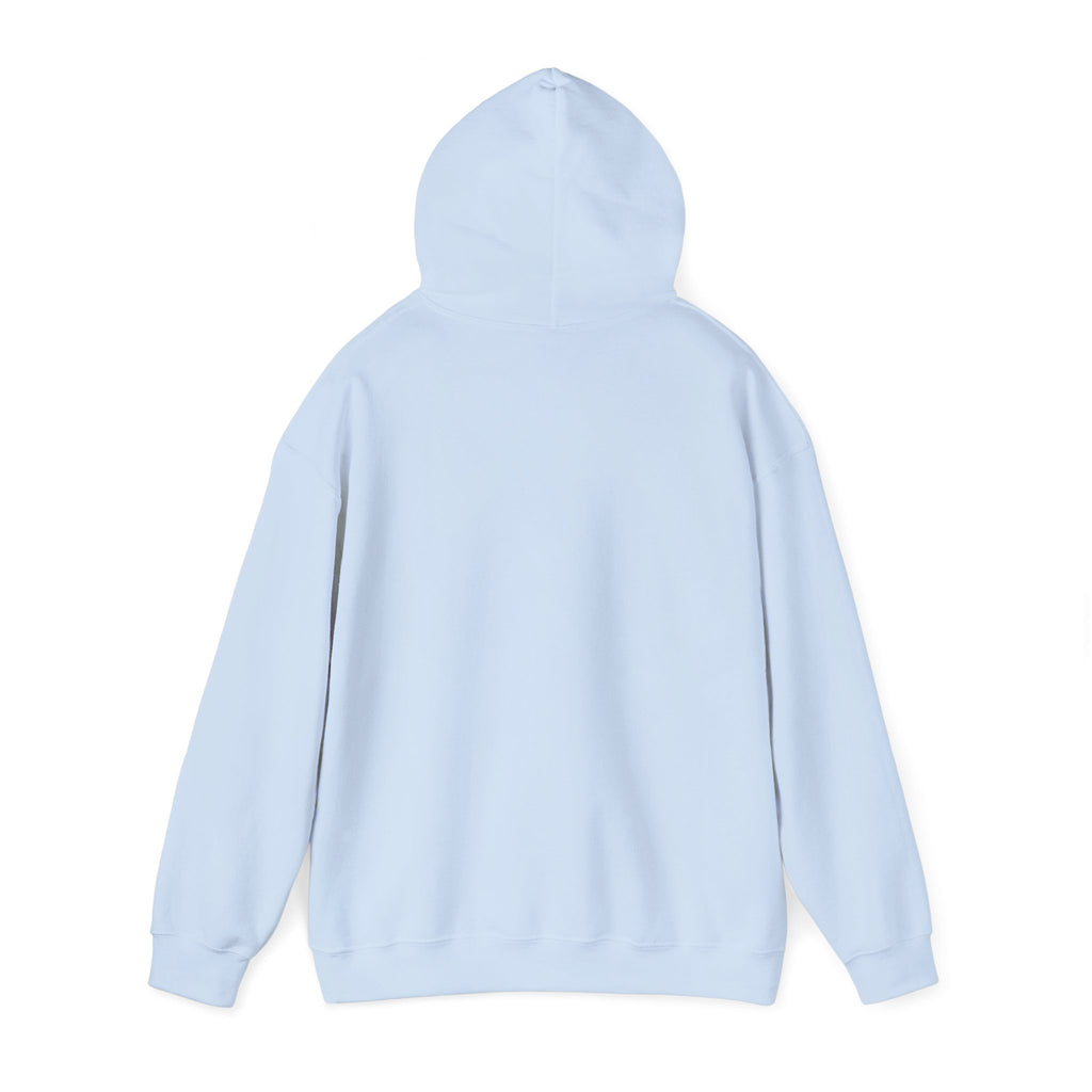 Dam Vlogs Front Logo Hoodie (Non-Embroidered)
