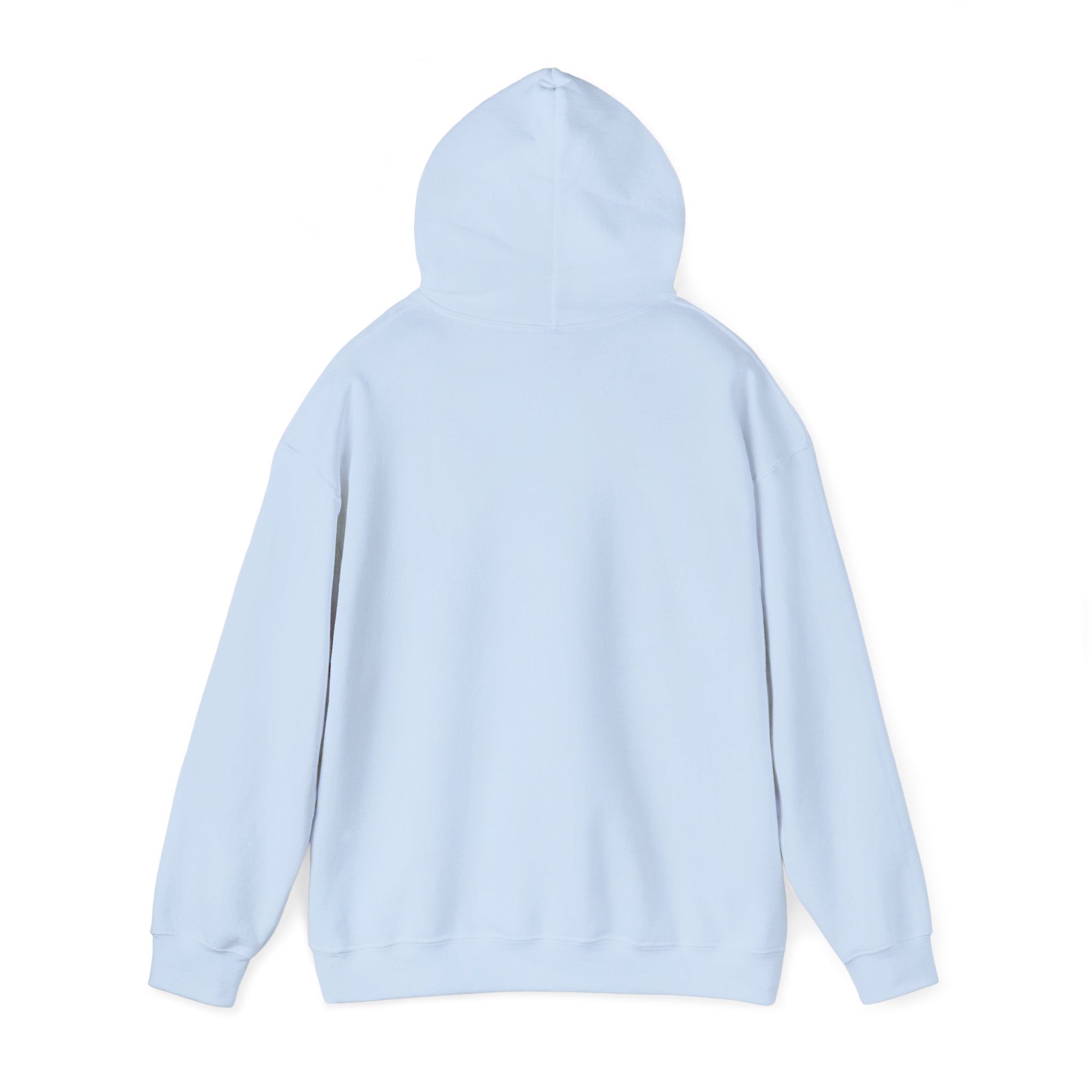 Dam Vlogs Front Logo Hoodie (Non-Embroidered)